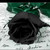 :iconamber0506: