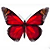 :iconamber1142: