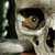Amber134 :iconamber134: