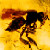 :iconamber365: