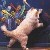 :iconamberflame557: