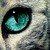 :iconamberjacklovers: