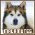 :iconamberlee07:
