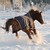 Ambermi94 :iconambermi94: