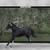AmberWhite85 :iconamberwhite85: