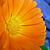 :iconamberylation: