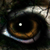 :iconambiantstock: