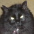 :iconamcmullin: