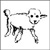:iconame-no-neko: