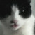 :iconameliabelle: