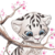 :iconameliaparcel: