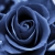 :iconamelie-avaler: