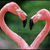:iconamelie-michiko: