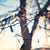 :iconamelie42: