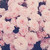 :iconamerica-england-aph: