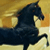:iconamerican-saddlebred: