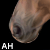 :iconamericanhorse: