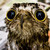 :iconamerray: