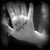 :iconamersford: