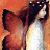 :iconameserrantes: