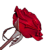 :iconamethyst--rose: