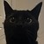:iconamethyst-kitsune14: