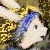 :iconamethystdawn: