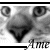 :iconamethystkarma: