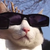 :iconamfcoyote: