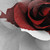 :iconamhirceaga: