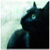 :iconami13: