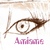:iconamiame: