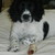 :iconamielouisethomas: