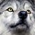 Amiko90 :iconamiko90: