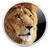 :iconamir1122: