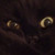 :iconamirah-the-cat: