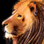 :iconamiramz: