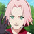:iconamirasakura123: