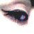 :iconamissterrie: