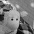 :iconamit16: