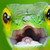 :iconammaetsu:
