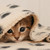 :iconammoyga3: