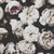 :iconamnaart: