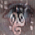 :iconamneris:
