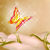 :iconamoensia: