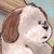 :iconamora-ink: