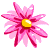 :iconamoravel: