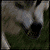 :iconamorlux: