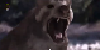 :iconamphicyon: