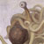 :iconamphidromus: